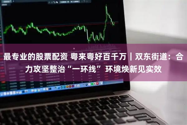 最专业的股票配资 粤来粤好百千万｜双东街道：合力攻坚整治“一环线” 环境焕新见实效