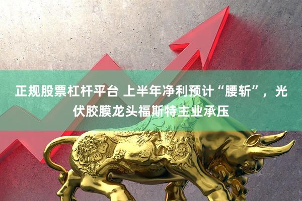 正规股票杠杆平台 上半年净利预计“腰斩”，光伏胶膜龙头福斯特主业承压