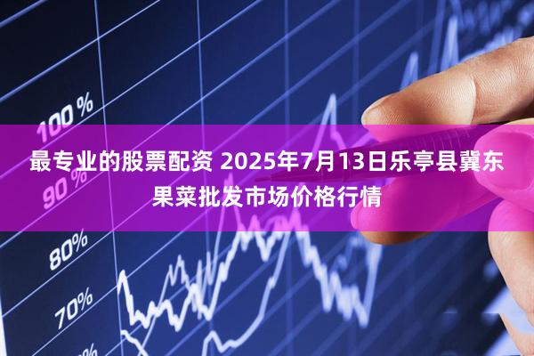 最专业的股票配资 2025年7月13日乐亭县冀东果菜批发市场价格行情