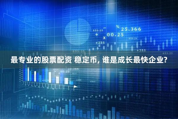 最专业的股票配资 稳定币, 谁是成长最快企业?