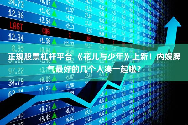 正规股票杠杆平台 《花儿与少年》上新！内娱脾气最好的几个人凑一起啦？