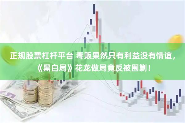 正规股票杠杆平台 毒贩果然只有利益没有情谊，《黑白局》花龙做局竟反被围剿！